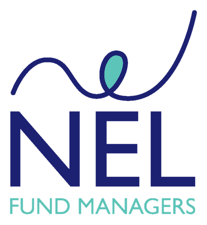 NEL Advisory logo